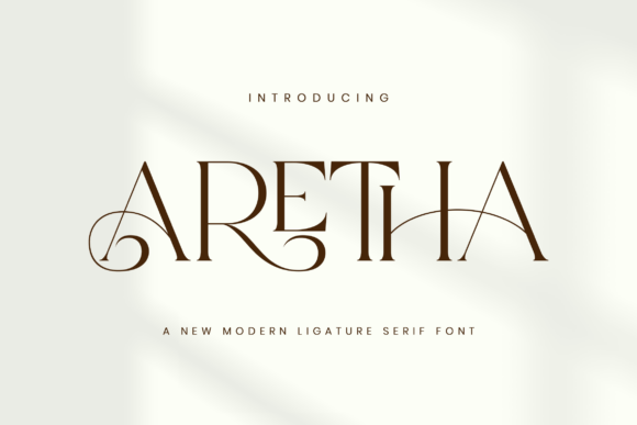 Aretha: The Font That Shapes Your Campaign’s Voice