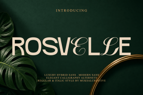 Testing Rosvelle for a Café Branding Project